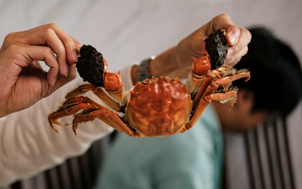 Tips membersihkan kepiting