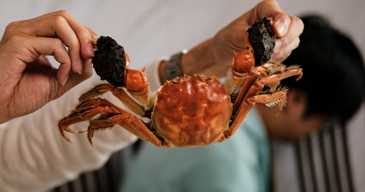 Tips membersihkan kepiting