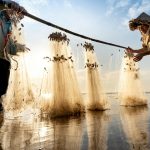 Jaring Ikan: Perlengkapan Tradisional yang Berarti dalam Dunia Perikanan
